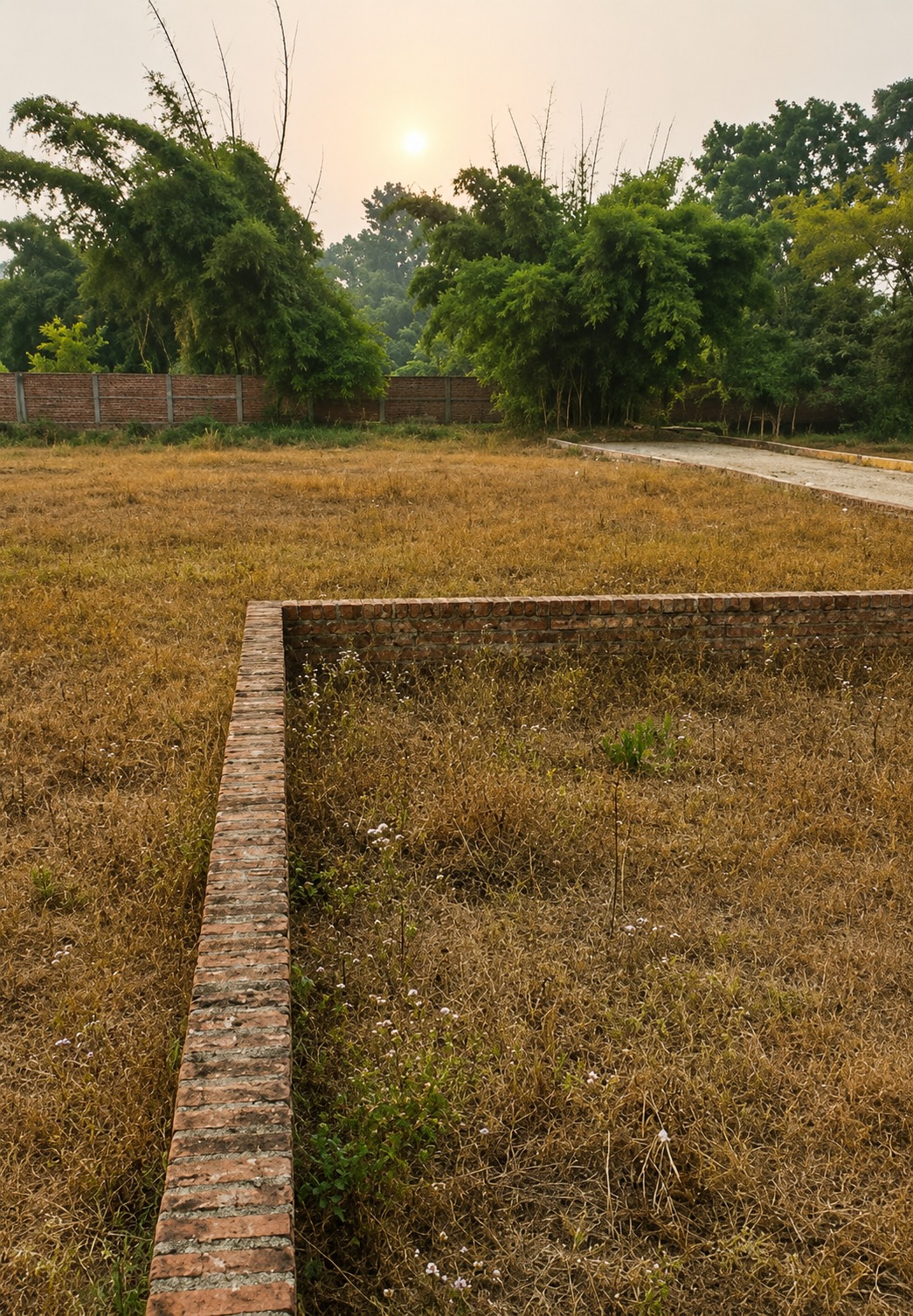 KRISHNA ENCLAVE – Premium Plots at Rajawala Road, Selaqui