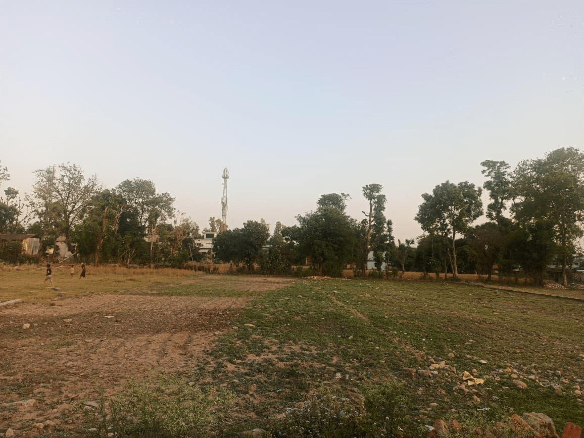 Before Image