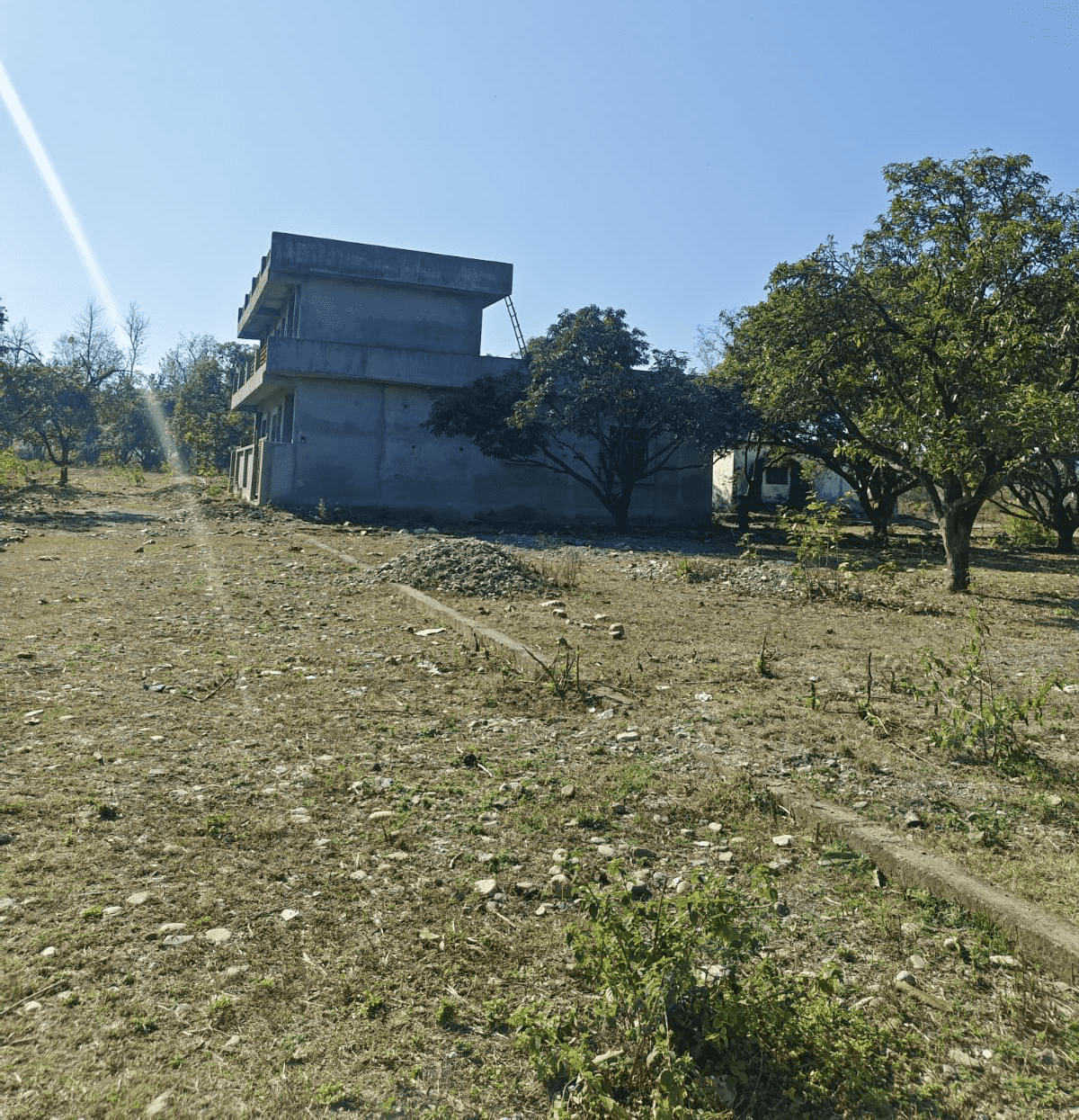 Before Image